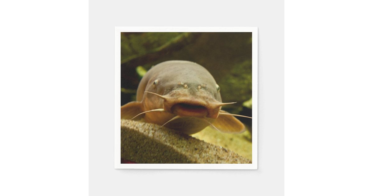 Electric catfish napkins Zazzle