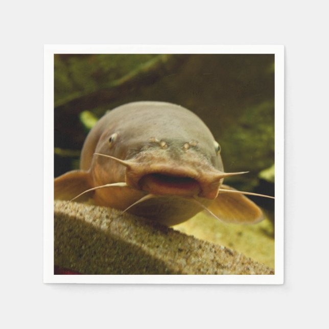 Electric catfish napkins (Front)