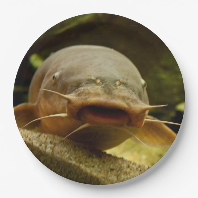 Electric catfish paper plates (Front)