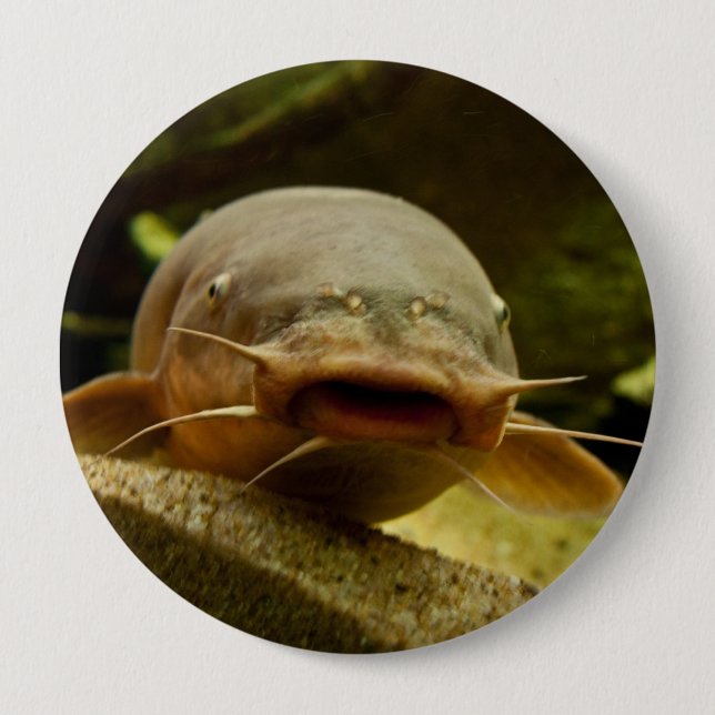 Electric catfish pinback button (Front)