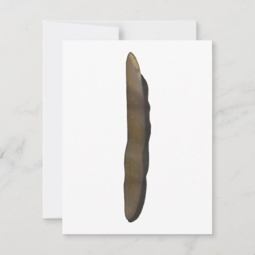 Electric Eel Note Card