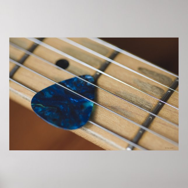 Electric Guitar Strings Poster (Front)