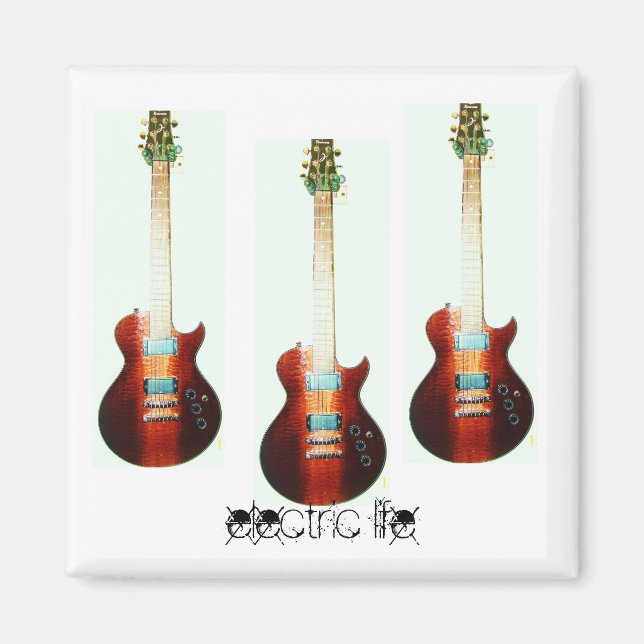 electric life magnet (Front)