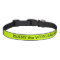 Electric Lime Green Dog Collar Personalized