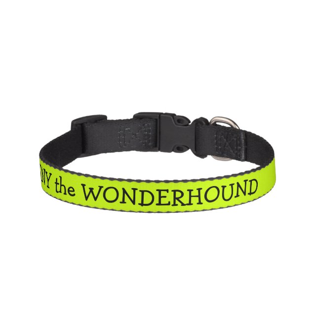 Electric Lime Green Dog Collar Personalized (Front)