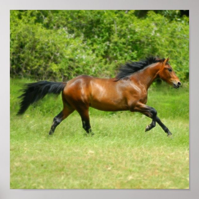 Electrichorse Poster (Front)