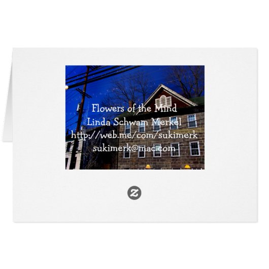 Electrified (Back Horizontal)