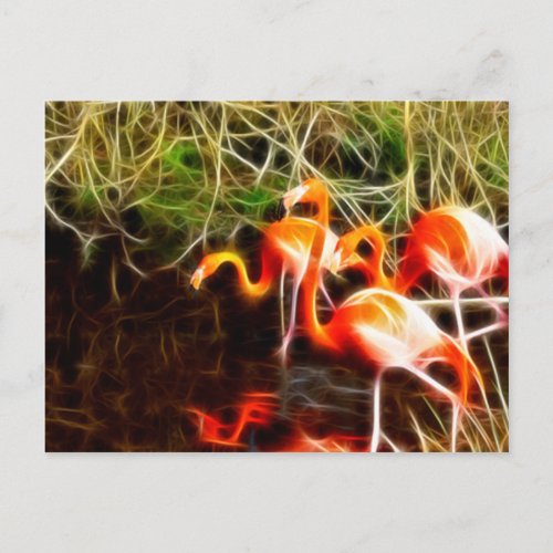 Electrified Flamingos Postcard