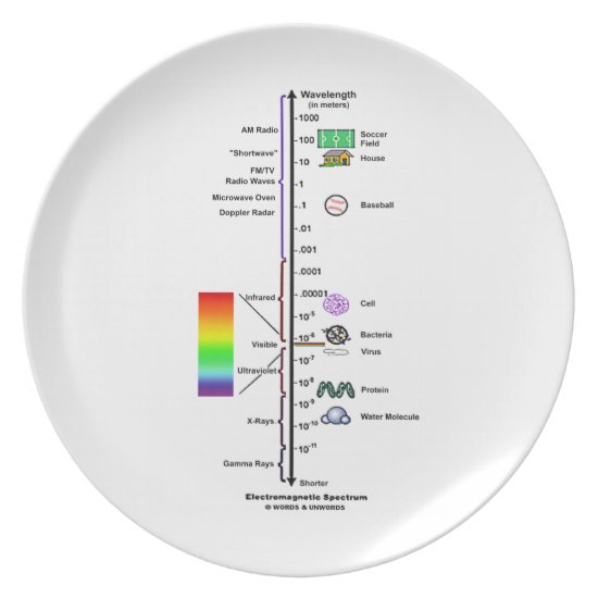 Electromagnetic Spectrum (Wavelengths Comparison) Dinner Plate