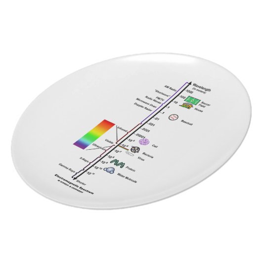 Electromagnetic Spectrum (Wavelengths Comparison) Dinner Plate (Left Side)