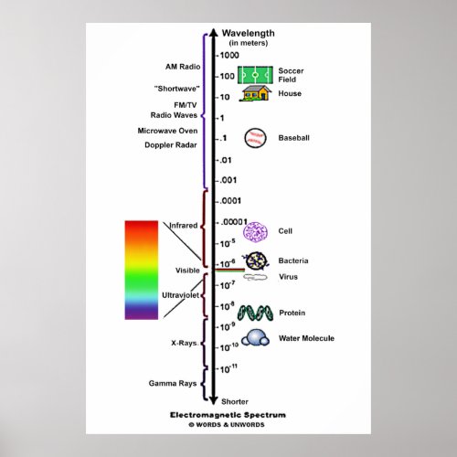 Electromagnetic Spectrum Wavelengths Comparison Poster