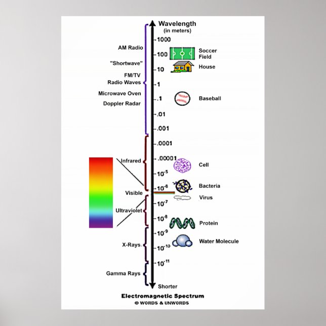 Electromagnetic Spectrum (Wavelengths Comparison) Poster (Front)