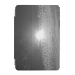 electronic laptop tablet ipad case