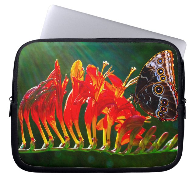 Electronics Bag (Front)