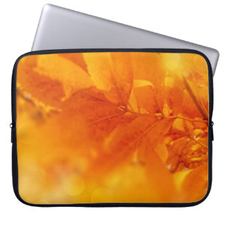 Electronics Bag Colored Autumn Glow Leafs