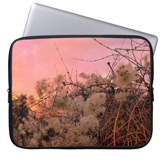 Electronics Bag Winter Sunset And Clematis Vines (Front)
