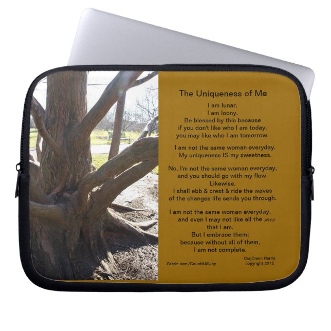 Electronics Case (Front)