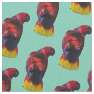 Electus fabric