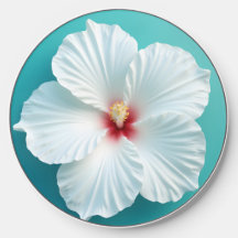 Elegance in Bloom: White Hibiscus Harmony