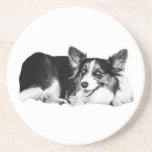 Elegance in Small Moments Coaster