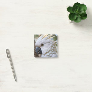 Elegance in White: The Majestic Aussie Cockatoo Post-it Notes