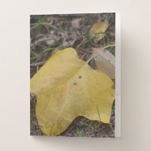 Elegance of Autumn pocket folder