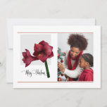 Elegant 1 Photo with Amaryllis Flower,  Christmas Holiday Card