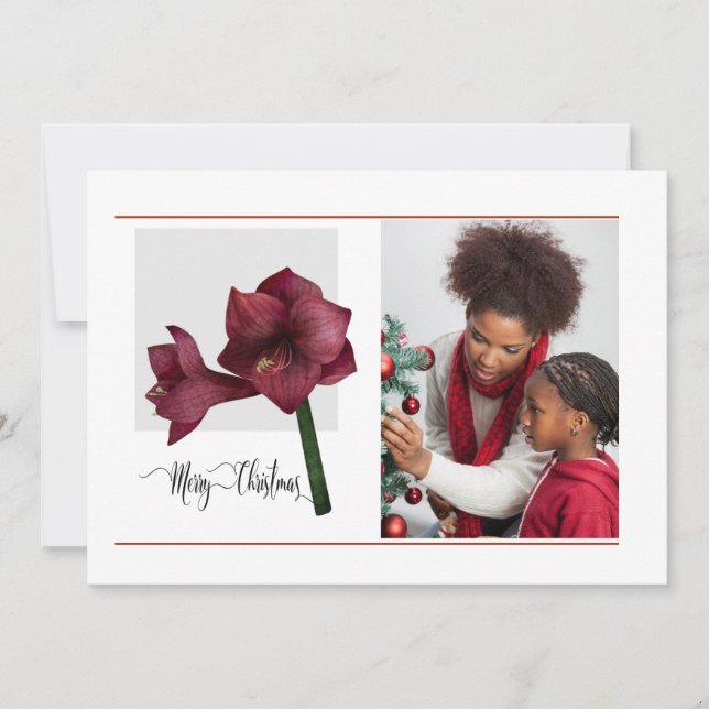 Elegant 1 Photo with Amaryllis Flower,  Christmas Holiday Card (Front)