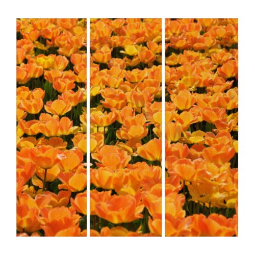 Elegant Abstract Field of Orange Tulips Triptych
