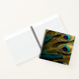 Elegant Abstract Teal Blue Gold Peacock Feathers Notebook
