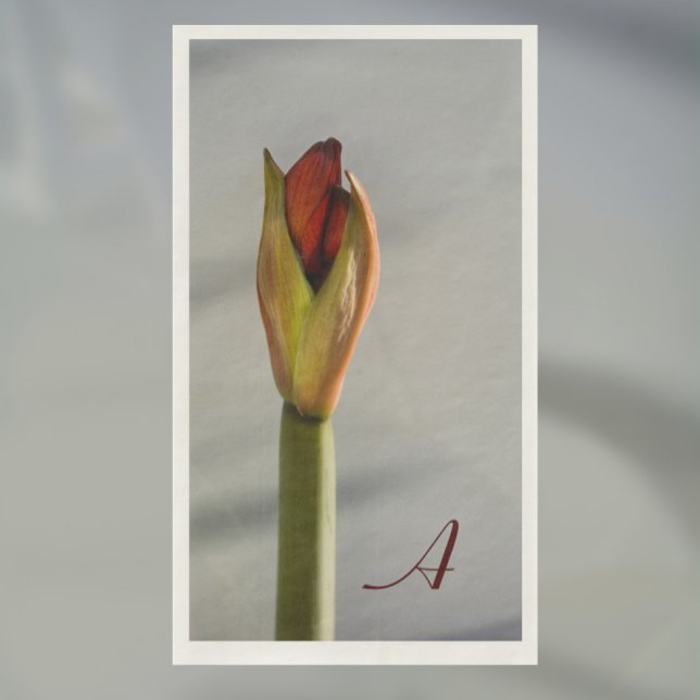 Elegant Amaryllis Bud Minimalist Paper Guest Towels (Creator Uploaded)