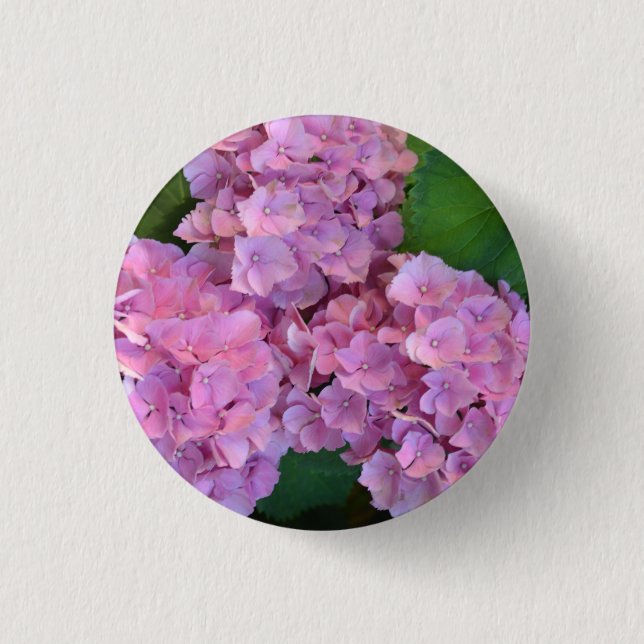 Elegant and Rustic Hortensia Hydrangea macrophylla Button (Front)