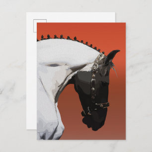 Elegant Andalusian Horse – Majestic Equestrian Art Postcard