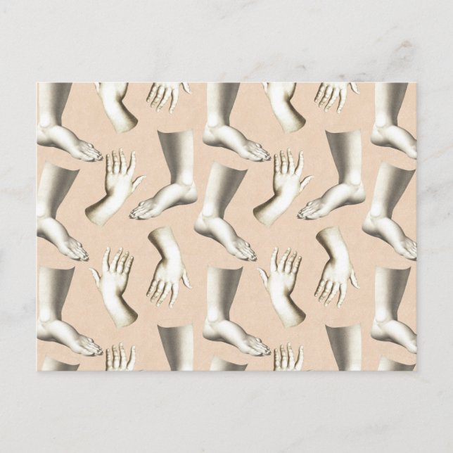 Elegant Antique Engraving Hands Feet Unique Postcard (Front)