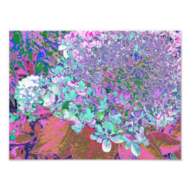 Elegant Aqua and Purple Limelight Hydrangea Detail Photo Print (Front)