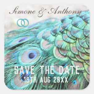 Elegant Aqua Peacock Feathers Save the Date Square Sticker