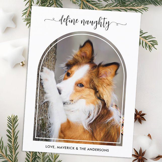 Elegant Arch Define Naughty Christmas Pet Photo Holiday Postcard (Creator Uploaded)