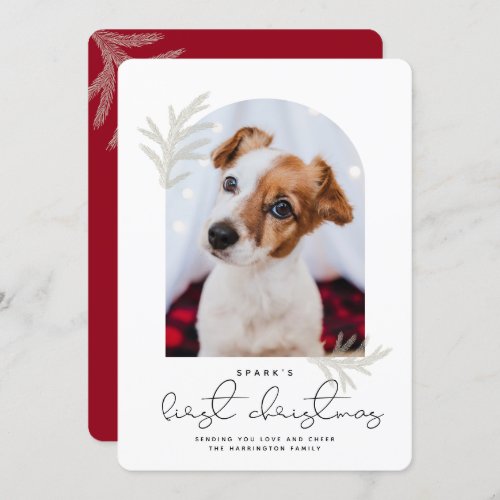 Elegant Arch  First Christmas Pet Dog Modern Holiday Card