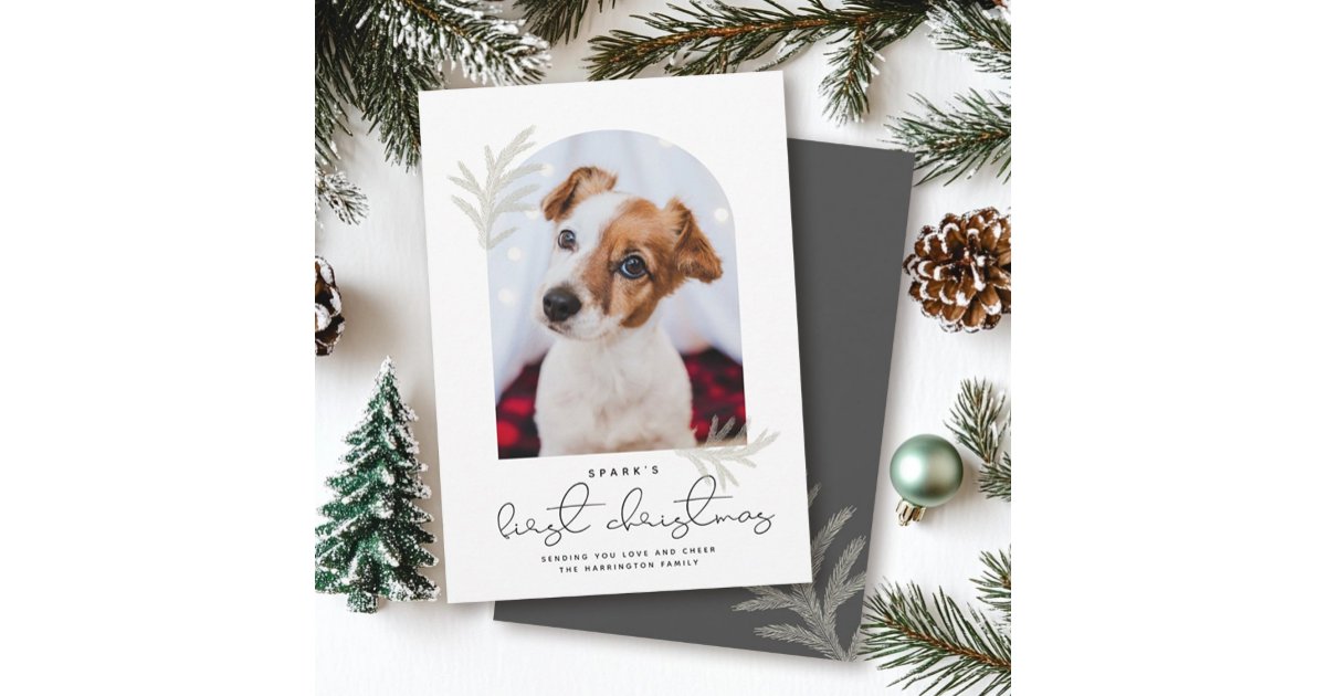 Elegant Arch | First Christmas Pet Dog Modern Holiday Card | Zazzle