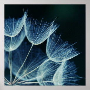 Elegant Artistic Floral Abstract Blue Dandelion Poster