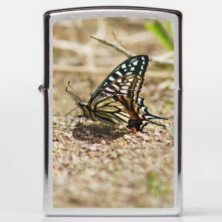 Elegant Asian Swallowtail Butterfly - Detailed Mac Zippo Lighter