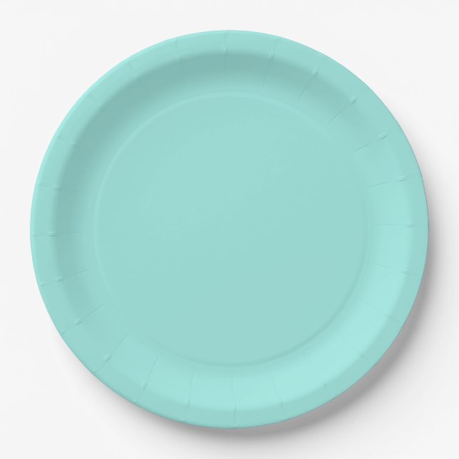 Elegant Baby & Co Teal Baby Shower Paper Plates (Front)