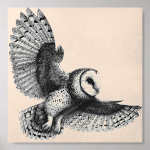 Elegant Barn Owl Black Ink Drawing Wood Photo Tile