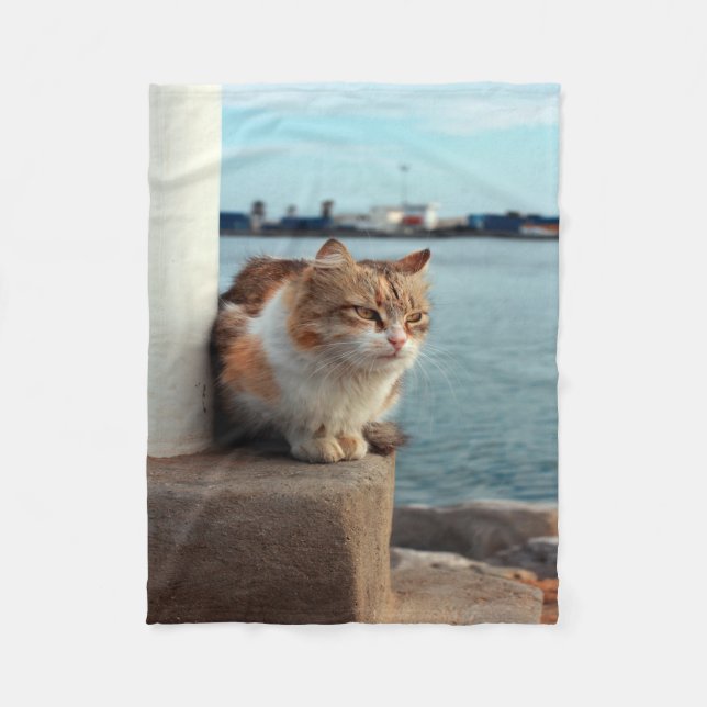 Elegant Beach Cat Fleece Blanket (Front)