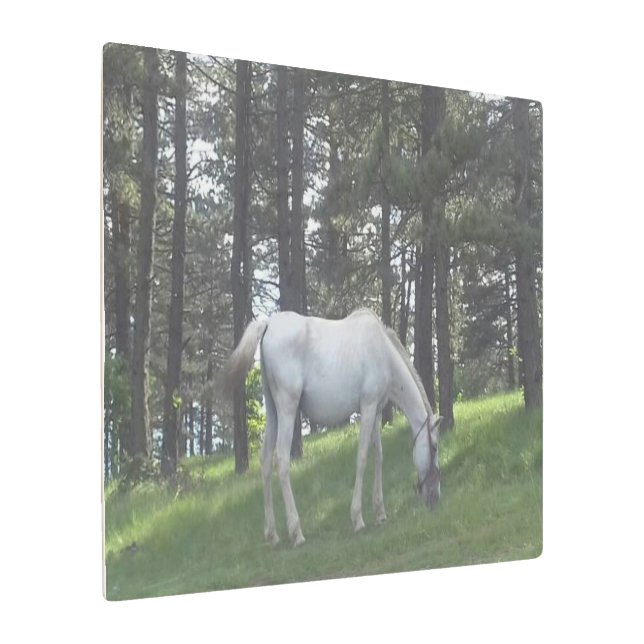 Elegant Beautiful White Horse Original Art (Angled)