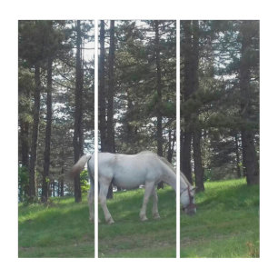 Elegant Beautiful White Horse Original Art