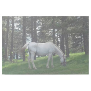 Elegant Beautiful White Horse Original Art