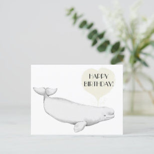  Elegant Beluga Whale Illustration Happy Birthday  Postcard