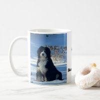Elegant Bernedoodle dog snow covered hill Sky Mug