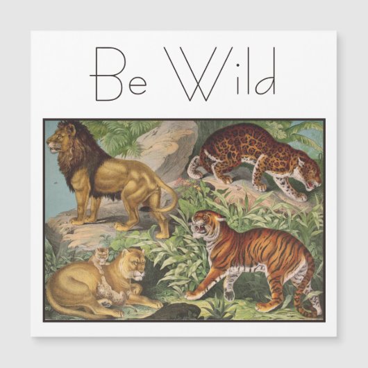 Elegant Big Cat Lions Tigers, Leopards Vintage (Front)